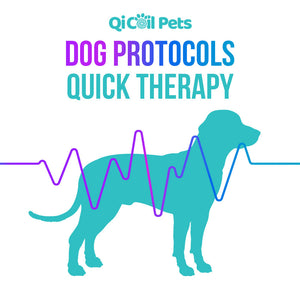 Top 29 Dog Protocols - Approved By Veterinarians - Qi Life Store 