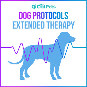 Top 29 Dog Protocols - Approved By Veterinarians - Qi Life Store 