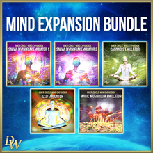 Load image into Gallery viewer, Ultimate Inner Circle Abundance Frequency Collection - Qi Life Store 