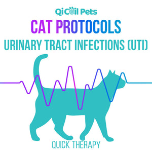 Urinary Tract Infections (UTI) - Quick Protocol - Feline - Qi Life Store 