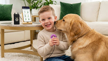 Bild in Galerie-Viewer laden, Qi Coil™ Nano - Mobile Rife &amp; PEMF Therapy