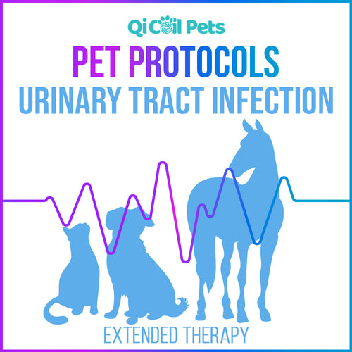 Urinary Tract Infection (UTI) - Extended Protocol