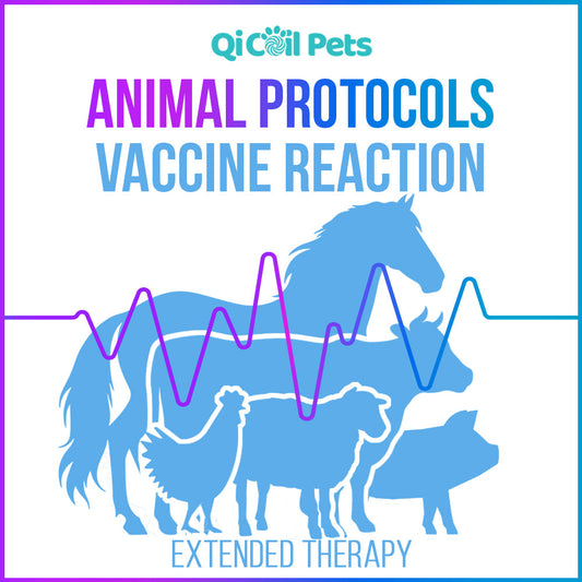 Vaccine Reaction - Extended Protocol - Animal - Qi Life Store 
