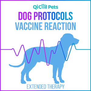 Vaccine Reaction - Extended Protocol - Canine - Qi Life Store 