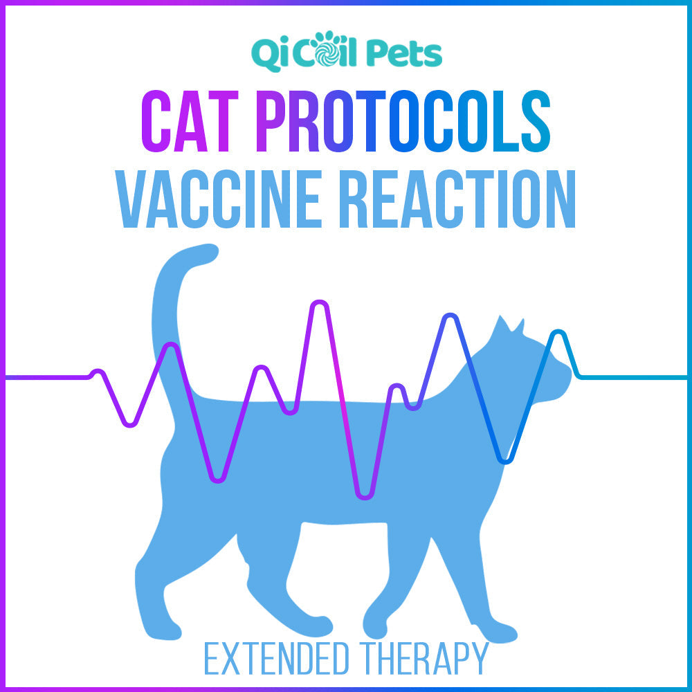 Vaccine Reaction - Extended Protocol - Feline - Qi Life Store 