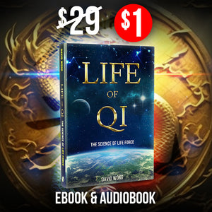 Life of Qi - Transform Your Life With An Ancient Force