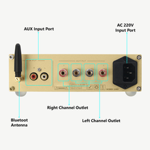 Bild in Galerie-Viewer laden, Resonant Power Kit (For Lifereboot Aura Coil Systems)