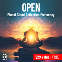 Load image into Gallery viewer, Energy Healing Medicine with Frequency &amp; Sound Therapy.