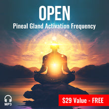 Load image into Gallery viewer, Qi Energy &amp; Qigong for Health, Longevity &amp; Success.